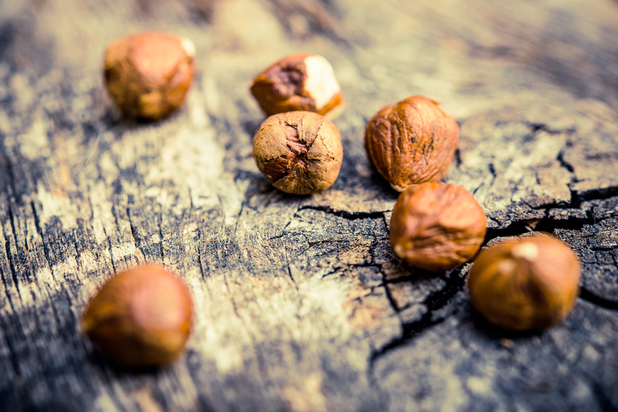 Nocciole - Federica Casalegno